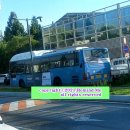 무태조야동 연경분소 이미지