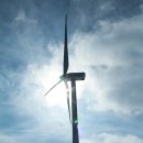 무한목장 이미지