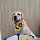 개두방정 이미지