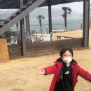 비고리조트 2 이미지