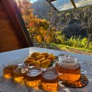 관아 수제차 이미지