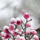 법인뜨락 이미지
