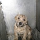 신영동물병원 이미지