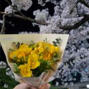 스윗(Sweet)남성전문샵 | 부케] 웨딩택스 없는 10만 원 극초반 가성비 본식 부케샵 3곳 전격 비교! (꽃술예/스윗아워/솔솔플라워)