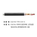 넘버링