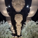 주식회사 동대전현대서비스 | 🕊️ W04. 대전 웨딩 홀투어 | 루이비스 컨벤션 후기 + 27년 상반기 견적 공유 (식대, 대관료)