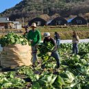 괴산증평축산증평지점 이미지