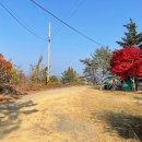 애향동산 이미지