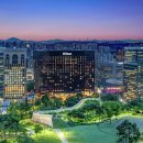 힐튼스테이 이미지