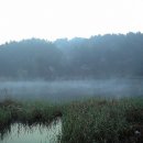 온산권...새벽 짬 낚시.......^^ 이미지