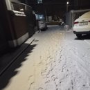 엘노핌피자 이미지