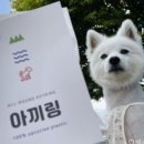 맘빙수