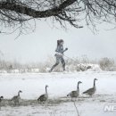 폭풍 이미지