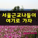 점폴린파크 | 서울근교 가볼만한곳 베스트10 떠나볼까