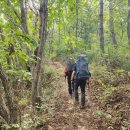 군청 옆 CU편의점 앞 이미지