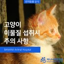 모래내동물병원 이미지