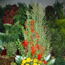 성전2호 이미지