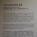 범방동 패총 | 엄마표 역사탐방 스물 일곱 번째 - 동삼동패총전시관, 그리고 동삼동패총