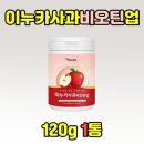 이누카 이미지