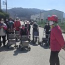 서봉1구 Daum카페