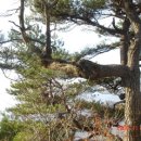 사랑과 기쁨 이미지