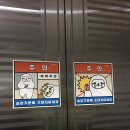 메디팜 대흥약국 이미지