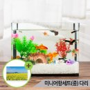 삼호수족관