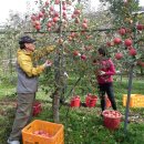 대흥자원 이미지