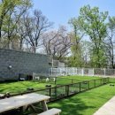 리틀파우스 이미지