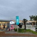 꽃피는 전복식당2 이미지