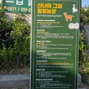 산너머그집꿀