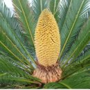 남포미술관 이미지