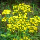 금강의하루민박 이미지