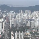 그린시티 연합뉴스