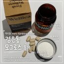 검은통 모그로스 후기, 비오틴 독일 맥주효모 판토텐산까지 한 번에 챙기는 웰리카 모발 영양제