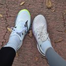 엔돌핀 | 써코니 엔돌핀 스피드 4 솔직 후기｜올라운더 러닝화, 마하 6과 로테이션 중