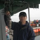 왜목마을좌대낚시터 이미지