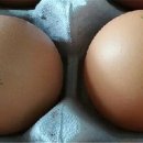 승일농장 식약일보