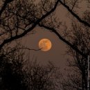 쇼킹노래주점 | 10月 - 1주차 🎃