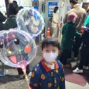 다기야죽림점 | [전남 여수] 여수 가볼만한곳 2박3일 여수여행 미남크루즈 오동도 아쿠아플라넷 향일암 배알도해변공원