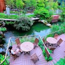 단풍나무만 480종… 완만한 경사•모노레일 갖춰 시니어도 편하게 걷는 숨은 단풍명소 이미지