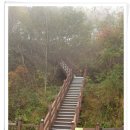 양구선사박물관 이미지