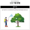비타플러스 - 서초구 | 비타플러스