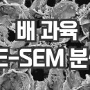 매치파인더