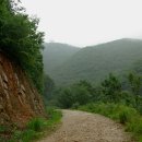 수리산 산림욕장 이미지