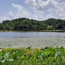 구불5길(물빛길) 이미지