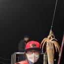 들어뽕피싱 이미지