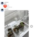 응비네