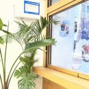 사슈퍼플