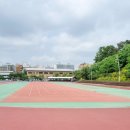 소사벌레포츠타운(인라인스케이트장) 네이버블로그